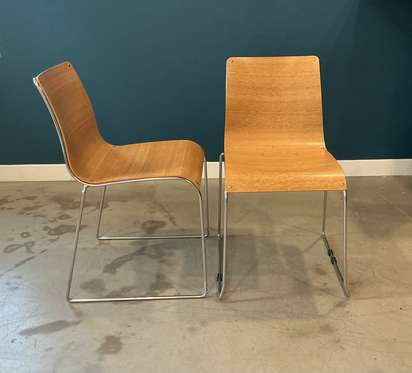 6 chaises Calligaris