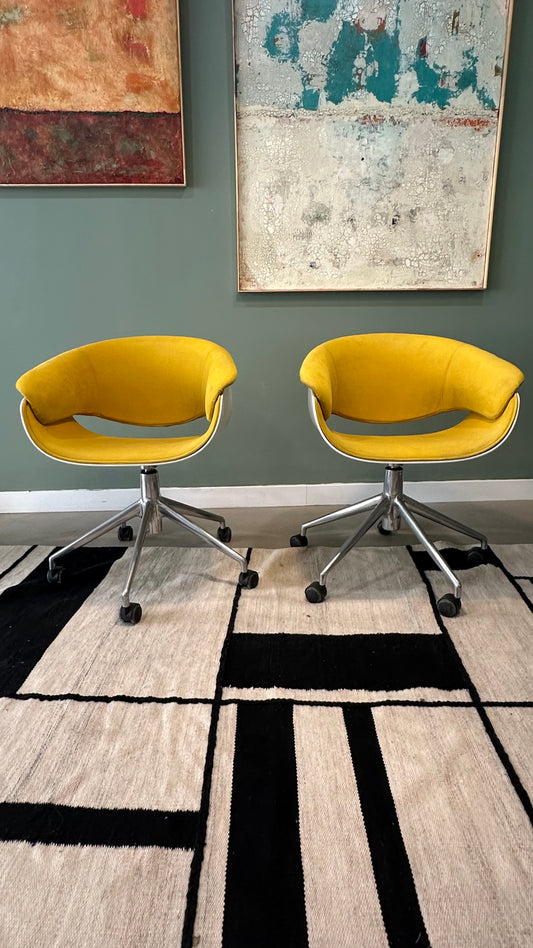 Paire de fauteuil  B&B Italia